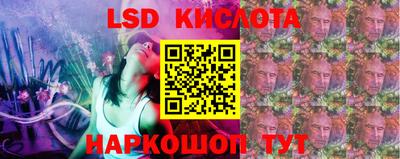 дмт Гай