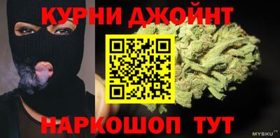 дмт Гай