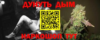 дмт Гай