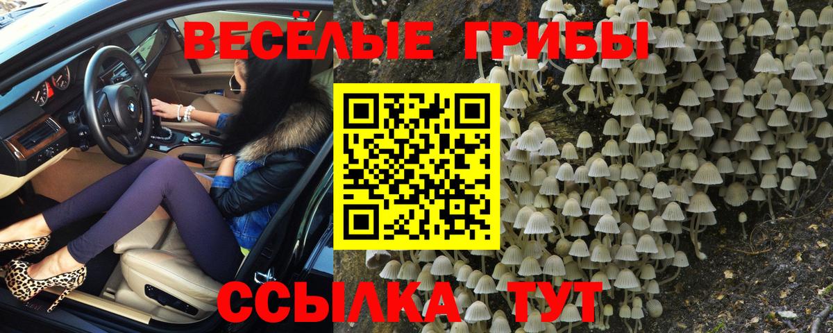 Галлюциногенные грибы ЛСД Волхов