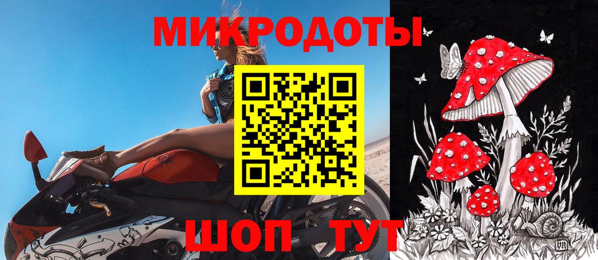 Волхов  Галлюциногенные грибы Cubensis  Вход с VPN 